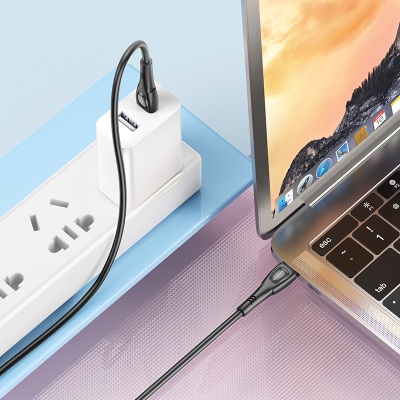 Кабель USB-C BOROFONE BX98 Superior Type-C - Type-C, 3A, 60W, 1 м, черный