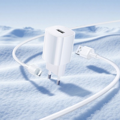 Сетевое зарядное устройство BOROFONE BA101A Pudding 1xUSB с Кабелем USB - Lightning, 2.1A, белый