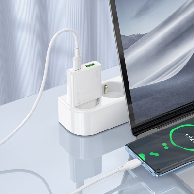 Сетевое зарядное устройство BOROFONE BN24 Wish 1xUSB + 1xUSB-C с Кабелем Type-C - Type-C, 3A, 20W, белый
