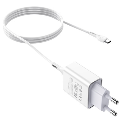 Сетевое зарядное устройство HOCO C81A Asombroso single 1xUSB с Кабелем USB - Type-C, 2.1A, 10W, белый