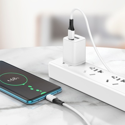 Кабель USB-C BOROFONE BX79 Type-C - Type-C, 3A, 60W, 1 м, белый