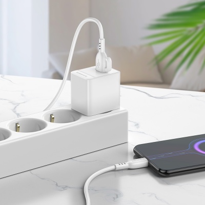 Сетевое зарядное устройство BOROFONE BAS11A Erudite 1xUSB, 2.1A, белый