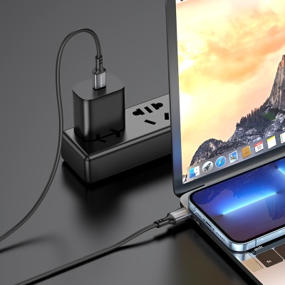 Кабель USB-C BOROFONE BX83 Famous Type-C - Type-C, 3A, 60W, 1 м, черный