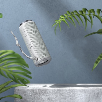 Портативная колонка BOROFONE BR22 sports, Bluetooth, серый