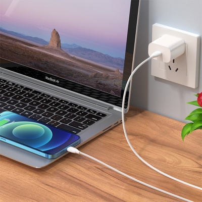 Кабель USB-C BOROFONE BX19 Benefit Type-C - Lightning, 20W, 3 м, белый