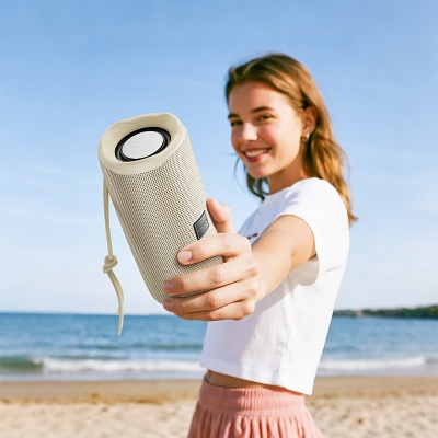 Портативная колонка BOROFONE BR100 Joy, Bluetooth 6.0, бержевый