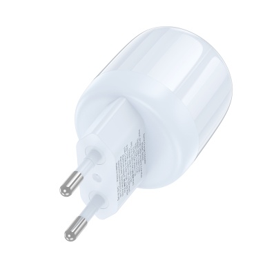 Сетевое зарядное устройство BOROFONE BA94A Lustrous 1xUSB + 1xUSB-C, 3A, 30W, синий