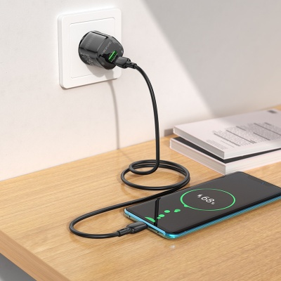 Сетевое зарядное устройство BOROFONE BN17 Sunlight 1xUSB + 1xUSB-C, 3A, 20W, прозрачный черный