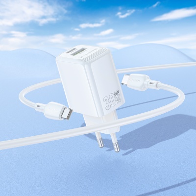 Сетевое зарядное устройство BOROFONE BN29 Fuente 1xUSB + 1xUSB-C с Кабелем Type-C - Type-C, 3A, 30W, белый