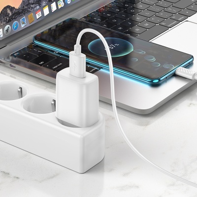 Сетевое зарядное устройство HOCO C134A Solid 1xUSB с Кабелем USB - Type-C, 2.4A, белый