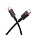 Кабель USB-C BOROFONE BX110 Beneficio Type-C - Type-C, 3A, 60W, 1 м, черный