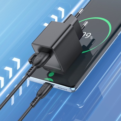 Сетевое зарядное устройство BOROFONE BAS11A Erudite 1xUSB, 2.1A, черный