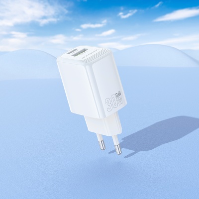 Сетевое зарядное устройство BOROFONE BN29 Fuente 1xUSB + 1xUSB-C, 3A, 30W, белый