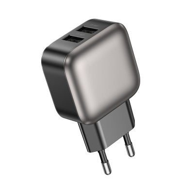Сетевое зарядное устройство BOROFONE BAS51A Absolute 2xUSB, 2.4A, черный