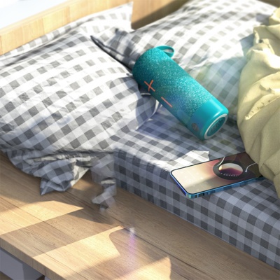 Портативная колонка BOROFONE BR19 Euphony, Bluetooth, бирюзовый